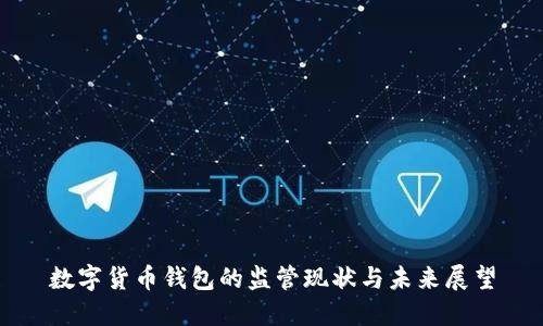 数字货币钱包的监管现状与未来展望