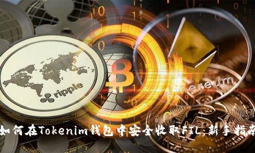 如何在Tokenim钱包中安全收取FIL：新手指南