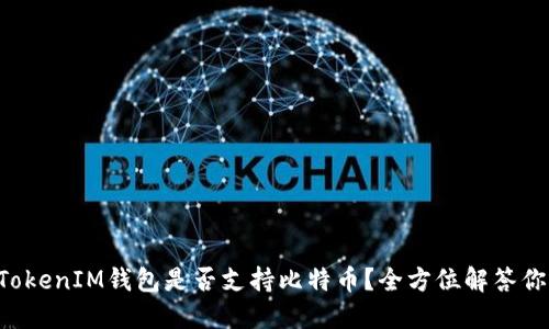 TokenTokenIM钱包是否支持比特币？全方位解答你的疑问