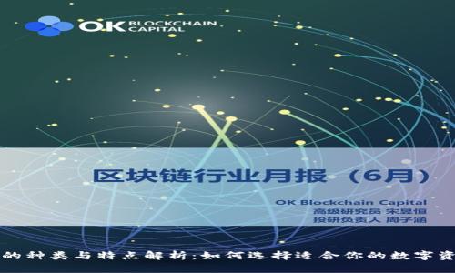 区块链钱包的种类与特点解析：如何选择适合你的数字资产管理工具