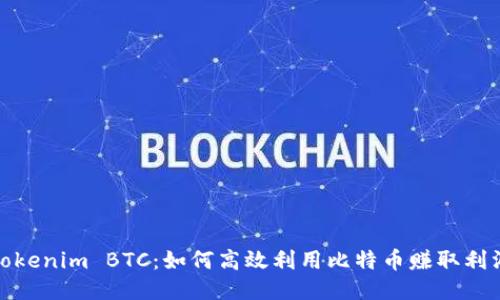 Tokenim BTC：如何高效利用比特币赚取利润