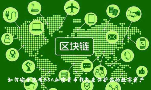 如何安全使用BSA加密货币钱包来保护你的数字资产