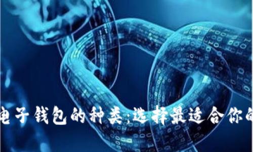 全面了解电子钱包的种类：选择最适合你的支付方式
