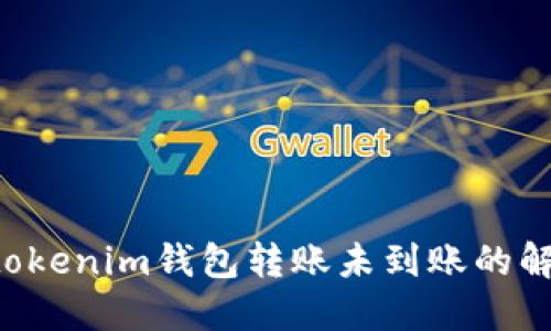 Tokentokenim钱包转账未到账的解决方案