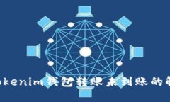 Tokentokenim钱包转账未到账的解决方案
