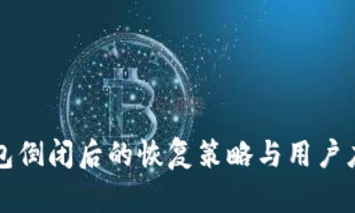 库神钱包倒闭后的恢复策略与用户应对指南