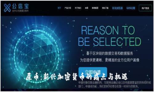屎币：新兴加密货币的痛点与机遇