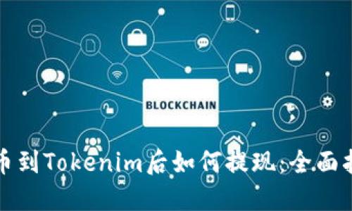 提币到Tokenim后如何提现：全面指南