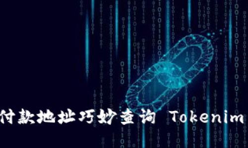 如何根据付款地址巧妙查询 Tokenim 交易记录