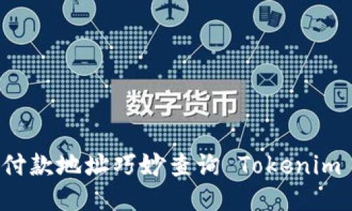 如何根据付款地址巧妙查询 Tokenim 交易记录