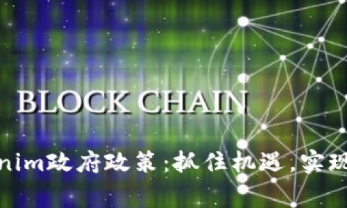 如何巧妙应对Tokenim政府政策：抓住机遇，实现个人与企业的双赢