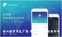 国内数字钱包厂商：前景、挑战与趋势分析