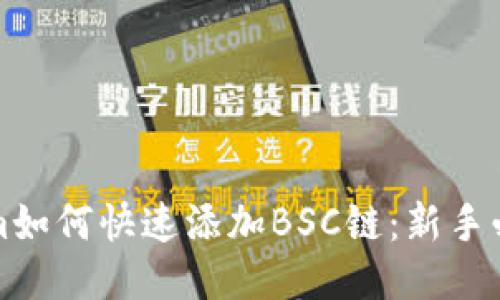 Tokenim如何快速添加BSC链：新手必看指南