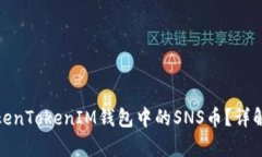 如何有效使用TokenTokenIM钱包中的SNS币？详解应用