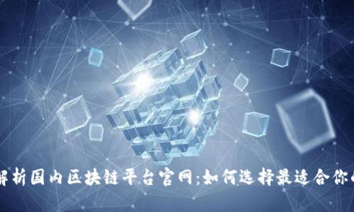 全面解析国内区块链平台官网：如何选择最适合你的平台
