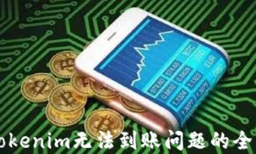 
解决Tokenim无法到账问题的全面指南