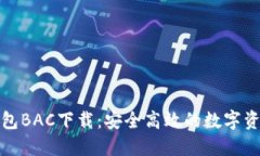 数字货币钱包BAC下载：安全高效的数字资产管理