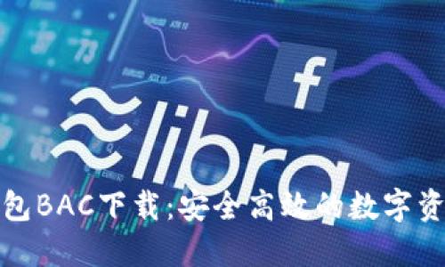 数字货币钱包BAC下载：安全高效的数字资产管理工具