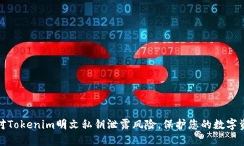 如何应对Tokenim明文私钥泄露风险，保护您的数字资产安全