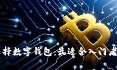 新手如何选择数字钱包：最适合入门者的全面指