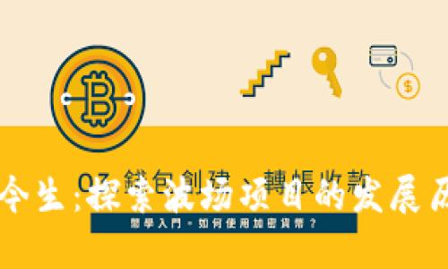 波场币的前世今生：探索波场项目的发展历程与未来展望