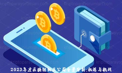
2023年度区块链相关公司全景分析：机遇与挑战
