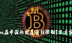 为什么Tokenim在中国的发展受到限制？深度分析与