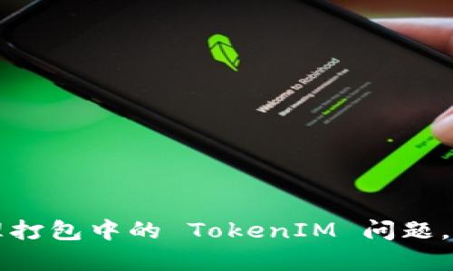 如何有效处理打包中的 TokenIM 问题，避免用户痛点