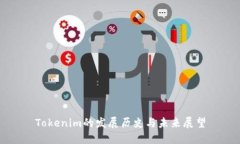 Tokenim的发展历史与未来展望