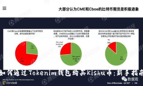 如何通过Tokenim钱包购买Kishu币：新手指南
