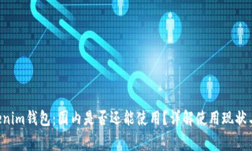 Tokentokenim钱包：国内是否还能使用？详解使用现状与常见问题