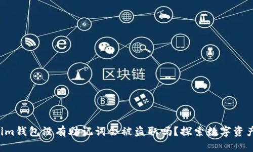 Tokentokenim钱包没有助记词会被盗取吗？探索数字资产安全的奥秘