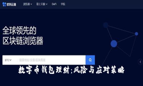 数字币钱包理财：风险与应对策略