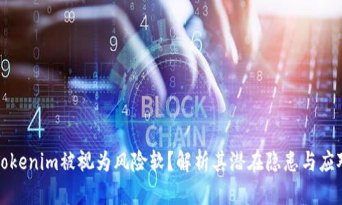 为何Tokenim被视为风险软？解析其潜在隐患与应对措施