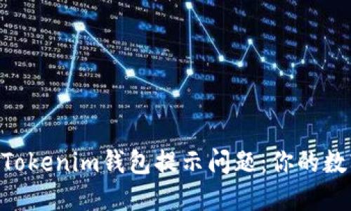 ziaoti如何解决Tokenim钱包提示问题：你的数字资产保护指南