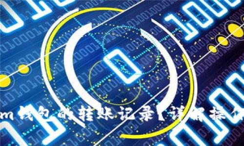 如何删除Tokenim钱包的转账记录？详解操作步骤与注意事项
