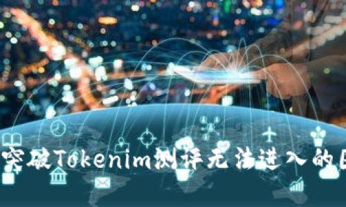 如何突破Tokenim测评无法进入的困境？