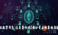 区块链数字钱包，这是真的吗？揭秘背后的真相