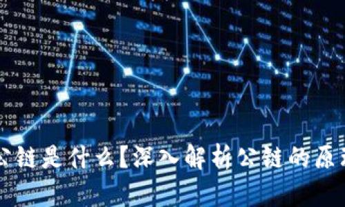 区块链公链是什么？深入解析公链的原理与应用