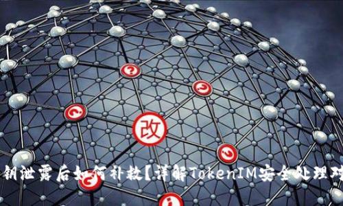 私钥泄露后如何补救？详解TokenIM安全处理对策