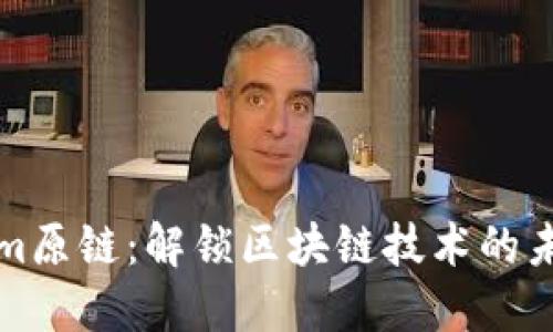 Tokenim原链：解锁区块链技术的未来之门