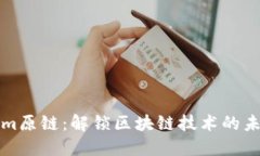 Tokenim原链：解锁区块链技术的未来之门