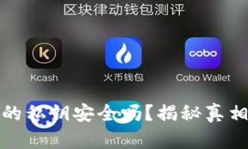 硬件钱包中的私钥安全吗？揭秘真相与选择指南