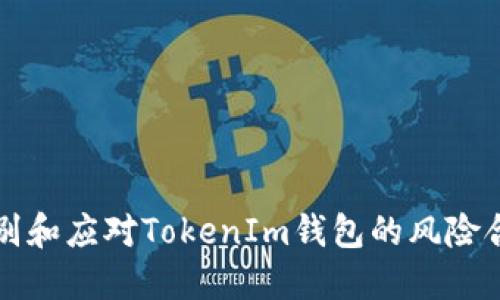 如何识别和应对TokenIm钱包的风险合约提示
