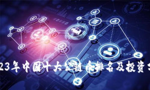 2023年中国十大公链币排名及投资分析