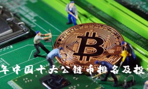 2023年中国十大公链币排名及投资分析