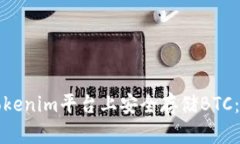 如何在Tokenim平台上安全存储BTC：全面指南