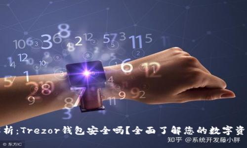 深入解析：Trezor钱包安全吗？全面了解您的数字资产保护