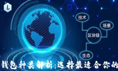 
数字货币钱包种类解析：选择最适合你的存储方式