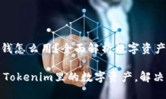 tokenim里的钱怎么用？全面解析数字资产的应用场